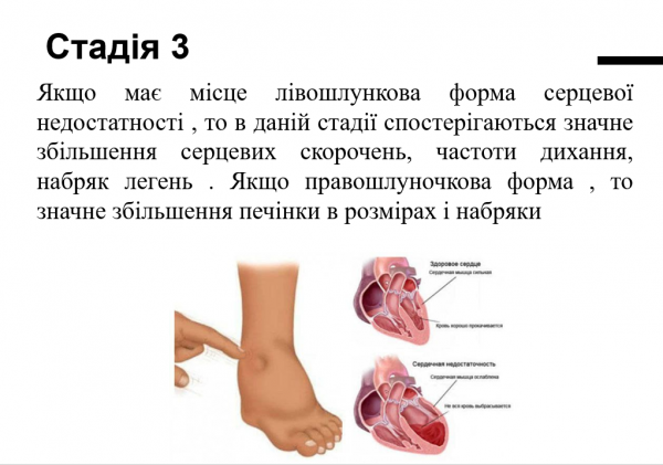 Book Page