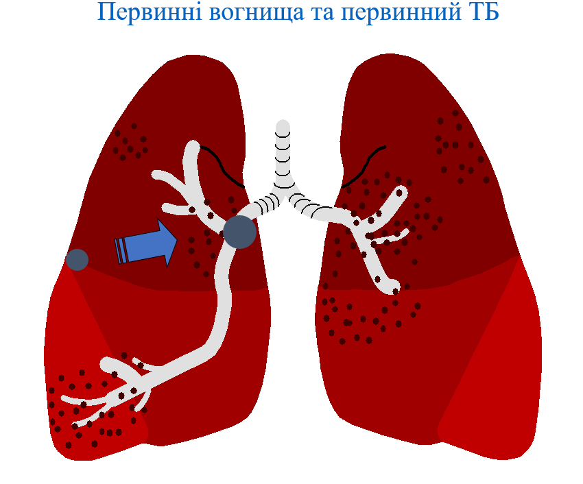 Book Page