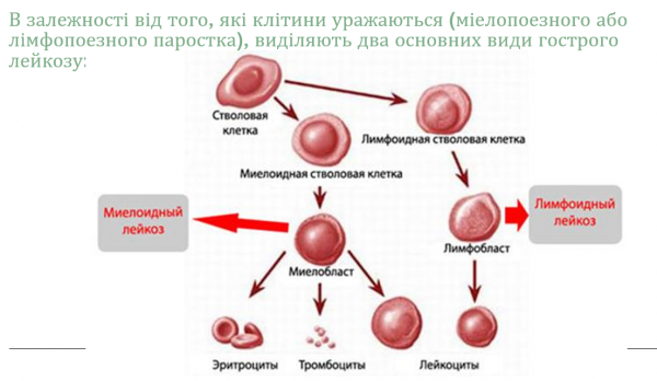 Book Page