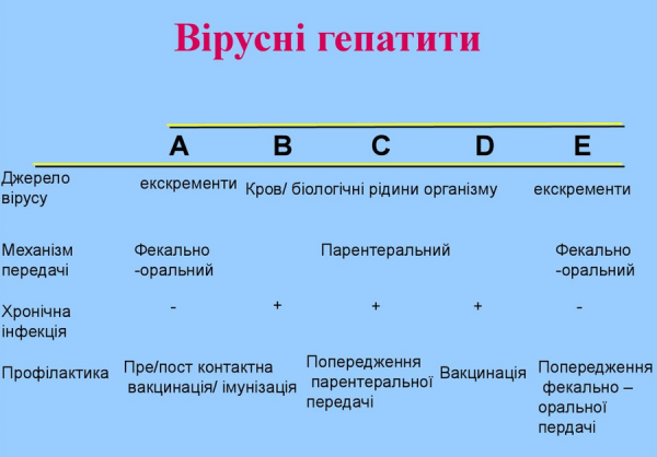 Book Page