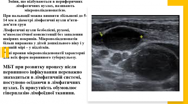 Book Page