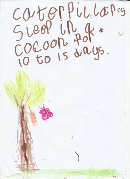 Book Page