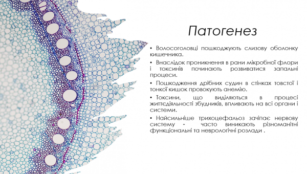 Book Page