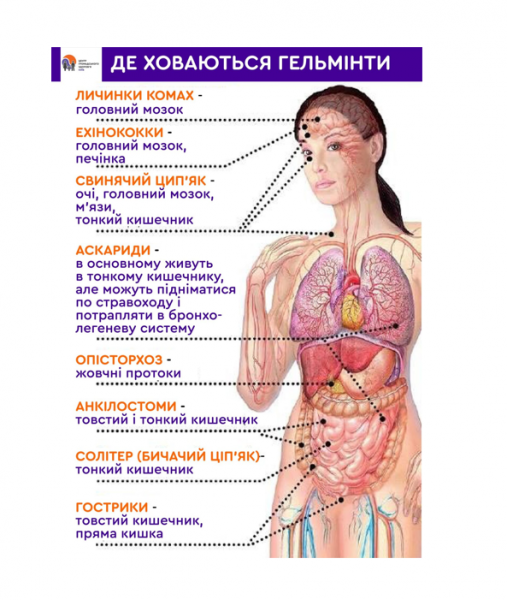Book Page