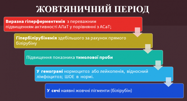 Book Page