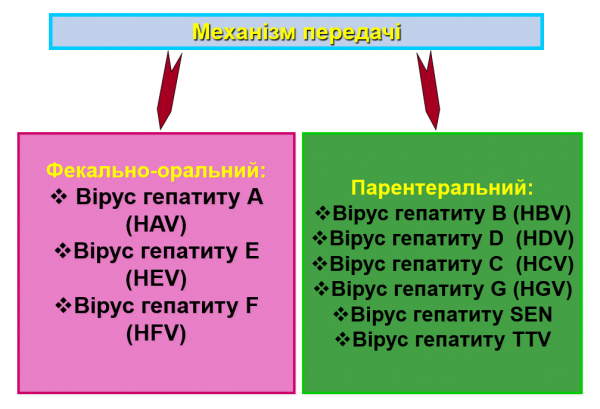 Book Page