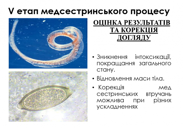 Book Page