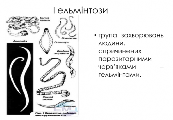 Book Page