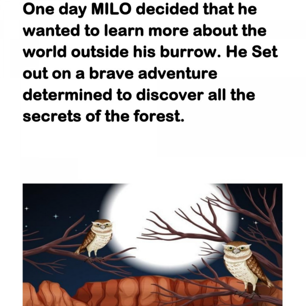 Book Page