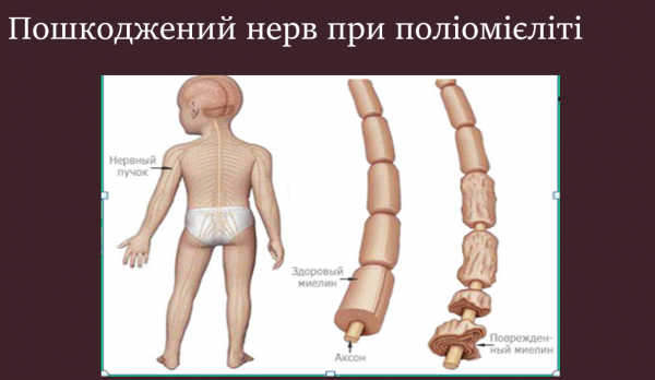 Book Page