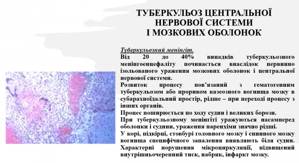 Book Page