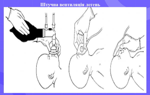 Book Page
