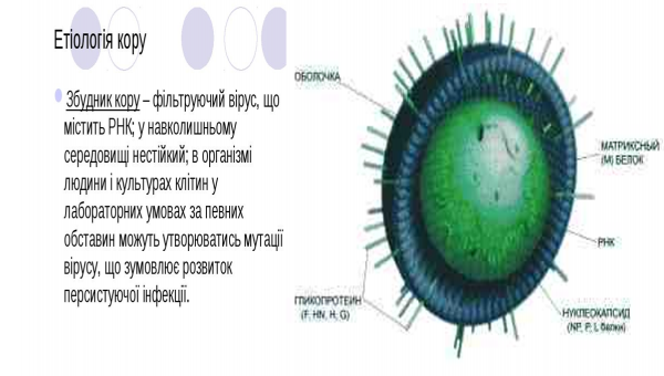 Book Page