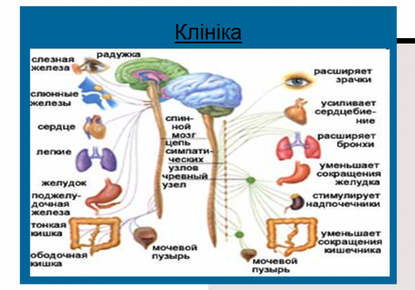 Book Page