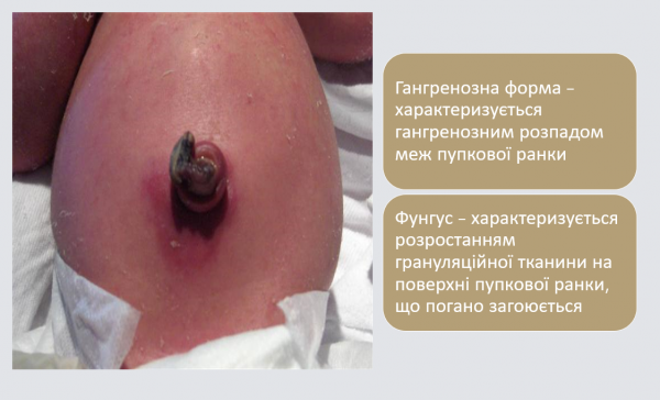 Book Page