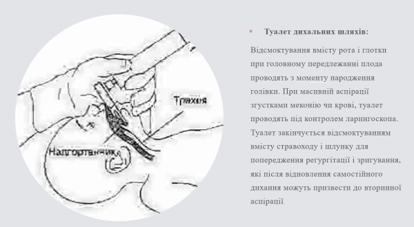 Book Page
