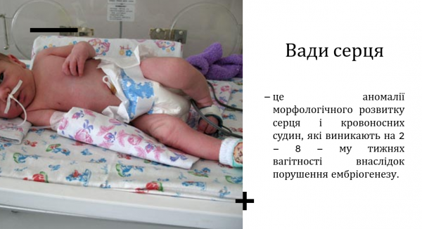 Book Page