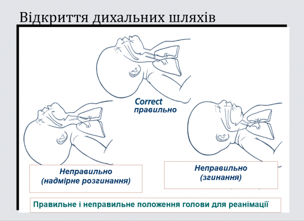 Book Page
