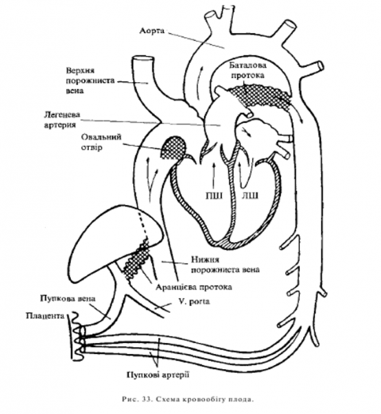 Book Page