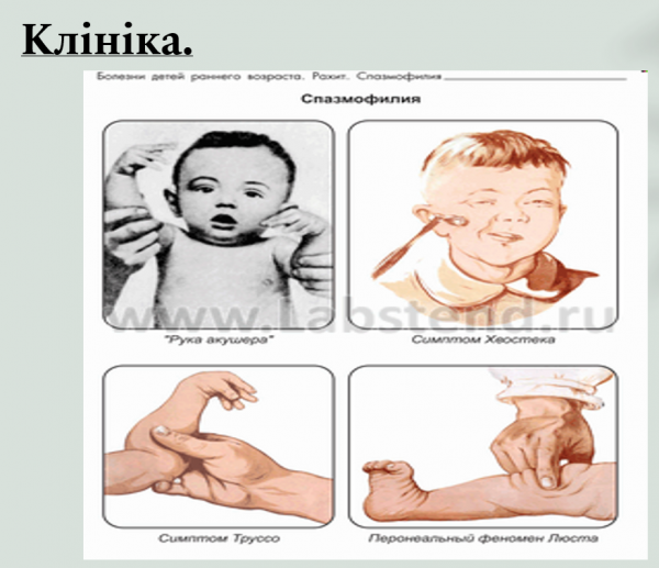 Book Page