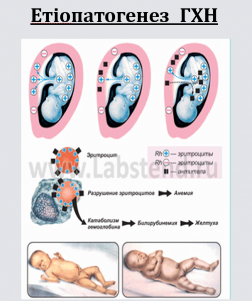 Book Page