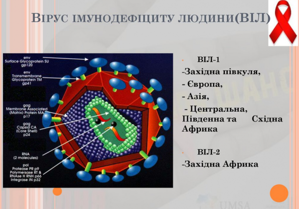 Book Page