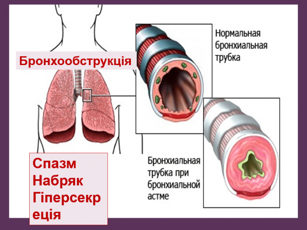 Book Page