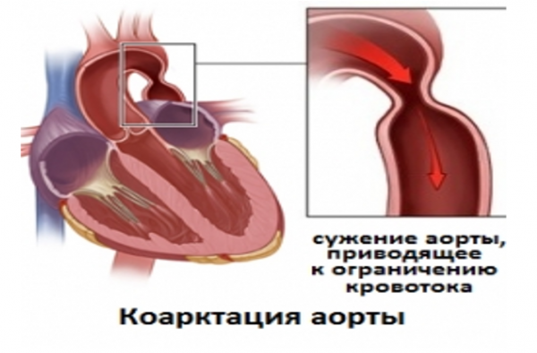 Book Page