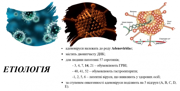 Book Page