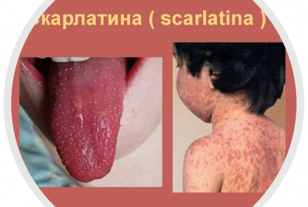 Book Page