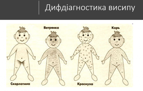 Book Page