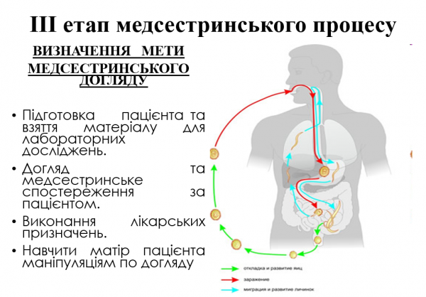 Book Page