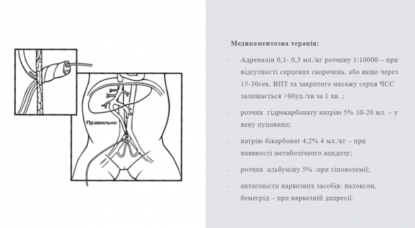 Book Page