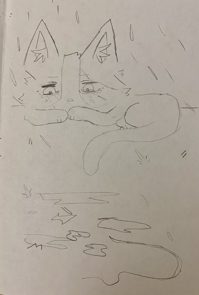 Book Page