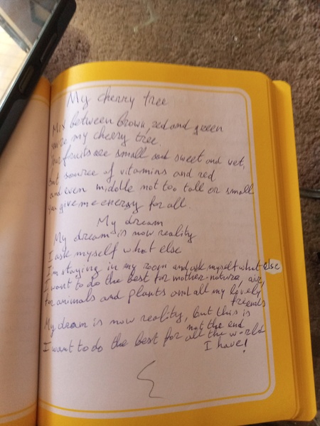 Book Page
