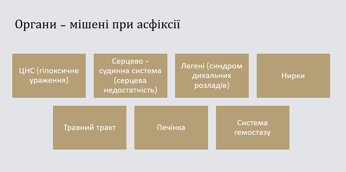 Book Page