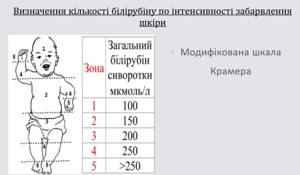 Book Page