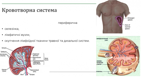 Book Page