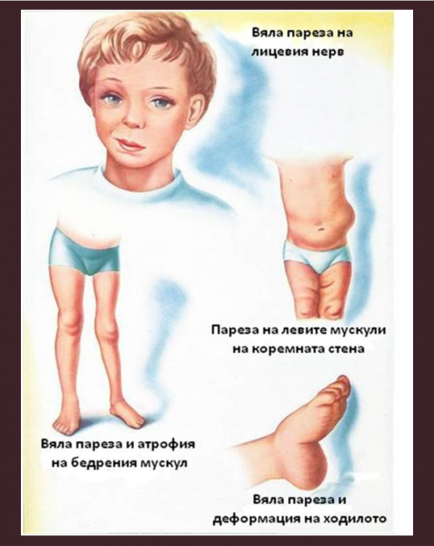 Book Page