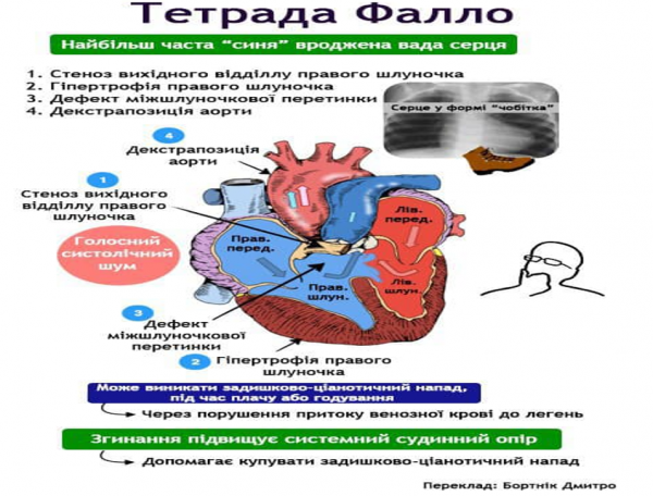 Book Page
