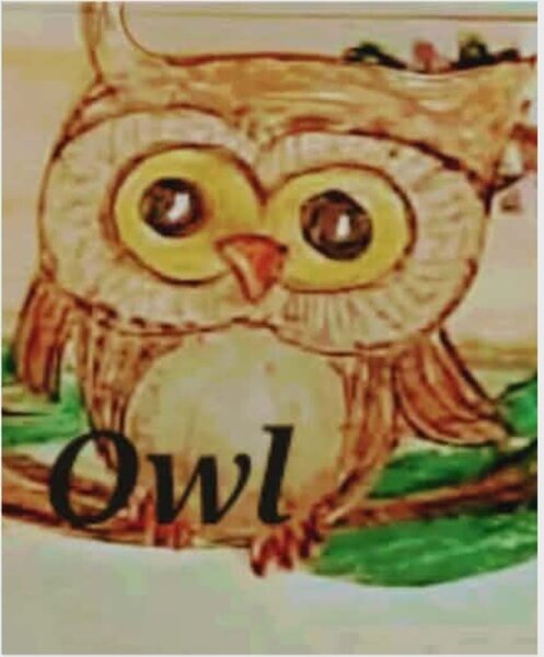 Book Page