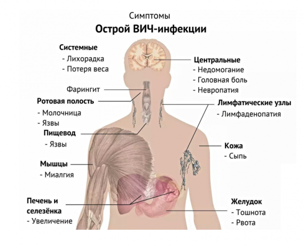 Book Page
