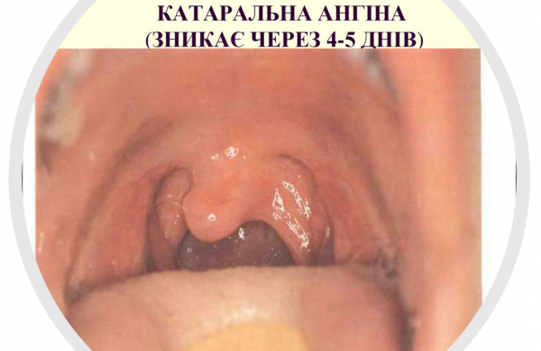 Book Page