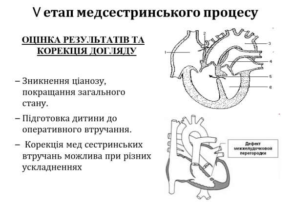 Book Page