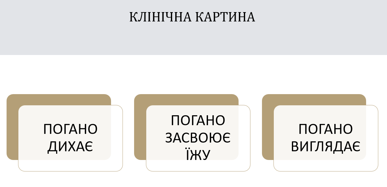 Book Page