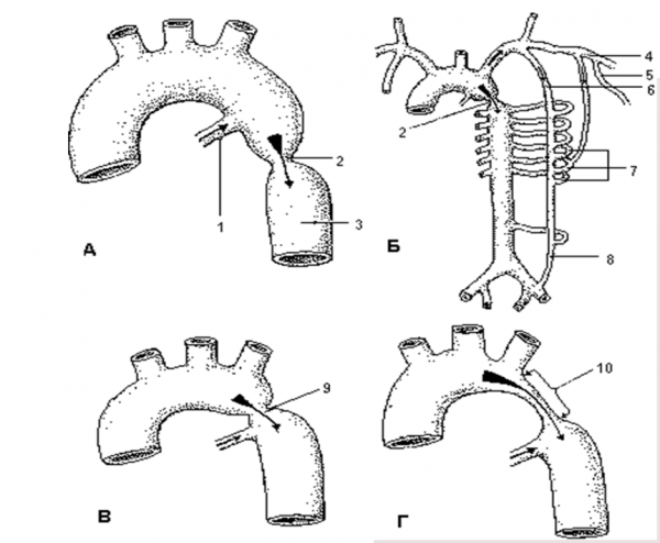 Book Page