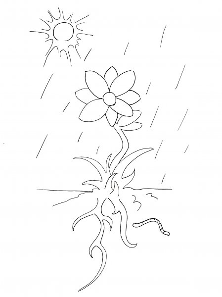 Book Page