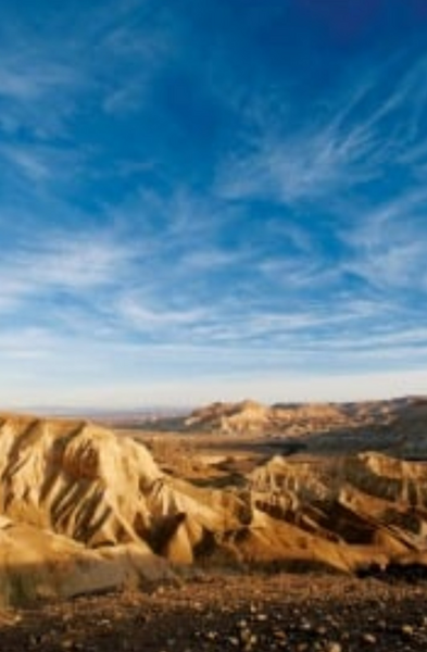 Book Page