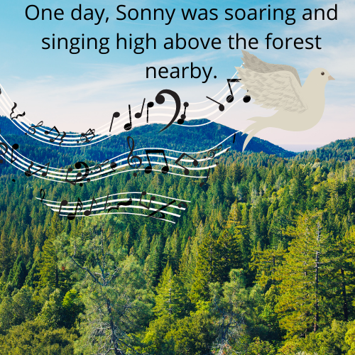 Book Page
