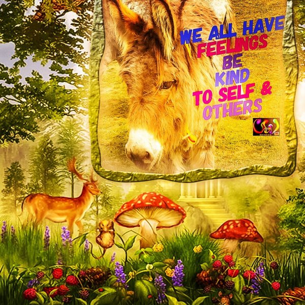 Book Page